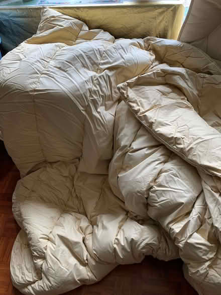 Photo of free Duvets (Nast Hyde Farm AL10) #1