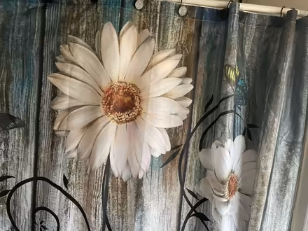 Photo of free Shower curtain and the hangers (Catonsville) #1