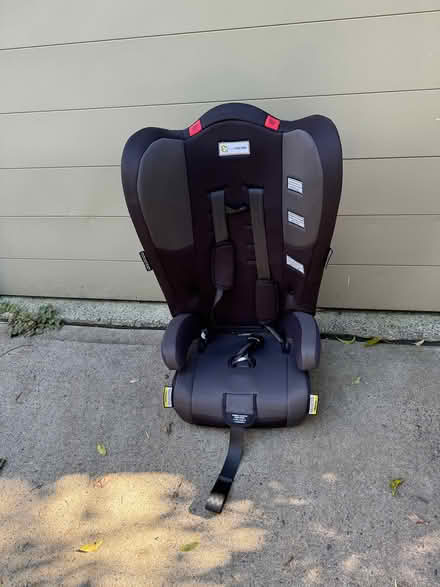 Photo of free Child car seat (Woollahra) #1