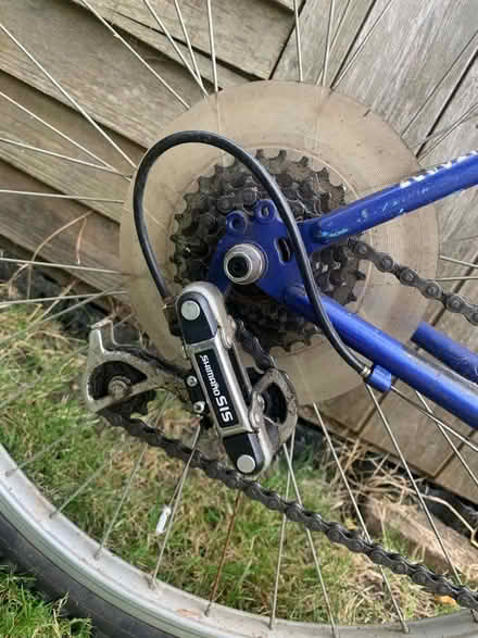 Photo of free Shogun Trail Blazer bike (Ware, SG12) #4