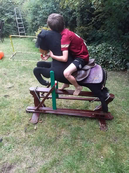 Photo of free Jumping Style Rocking Horse (Sydenham SE26) #1