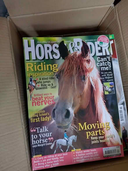 Photo of free A large pile of horse riding and care magazines (Binley CV3) #1