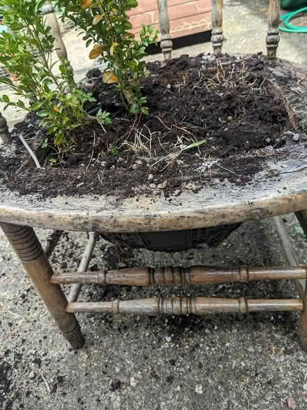 Photo of free Planter Chair for Repair (Market Harbourough) #3