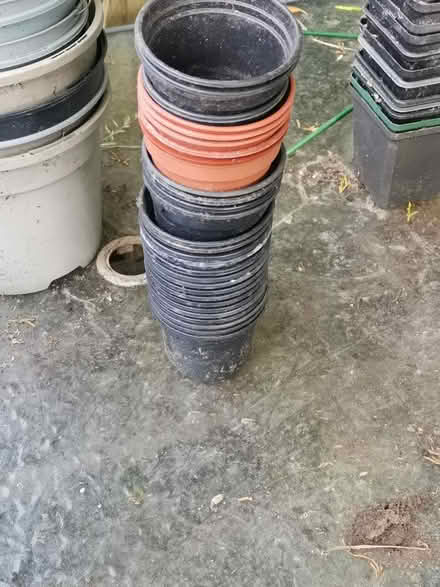 Photo of free Lots of empty plant pots (St Helens TN34) #3