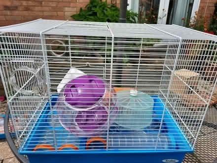 Photo of free Hamster cages, each with extras (Kings Stanley GL10) #1