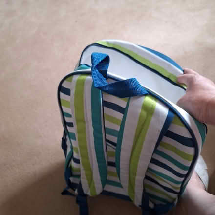 Photo of free Cool bag in rucksack style (New Southgate N11) #3