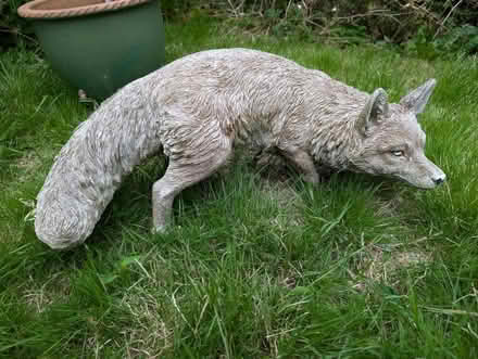 Photo of free Garden statue - fox (Didcot) #1