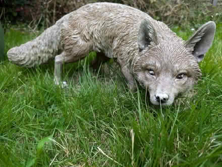 Photo of free Garden statue - fox (Didcot) #2