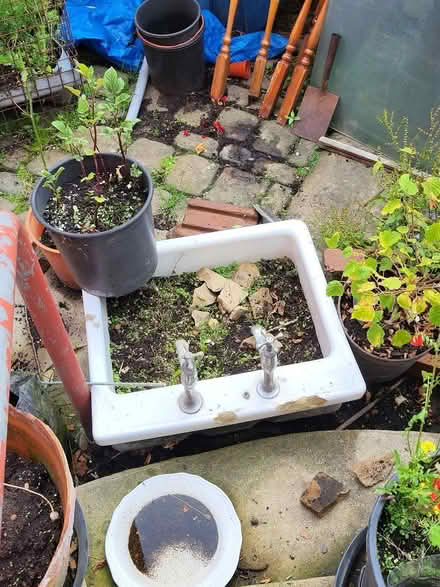 Photo of free Ceramic sink planter (Chapeltown LS7) #2