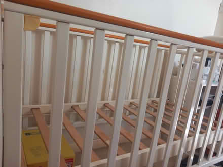 Photo of free Cot (Haywards Heath RH16) #3