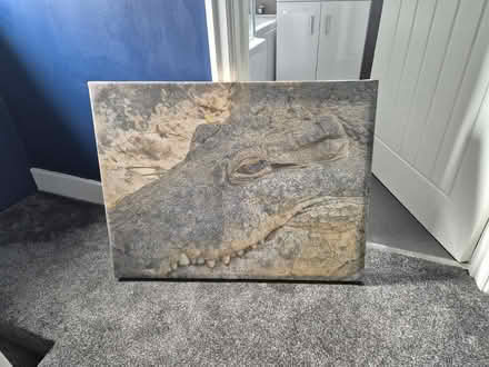Photo of free Alligator picture on canvas (SK7 Hazel Grove) #1