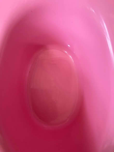 Photo of free Pink potty (Ambrosden OX25) #2