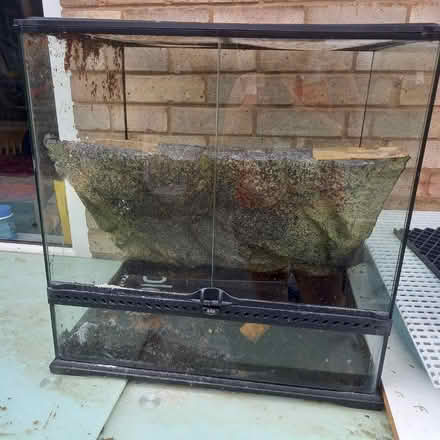 Photo of free Terrarium (Croxteth L11) #1