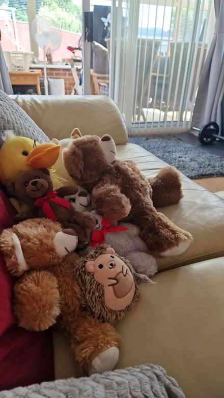Photo of free Soft toys (Horndean PO8) #1