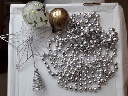 Photo of free Christmas decorations (Branksome Chine BH13) #1