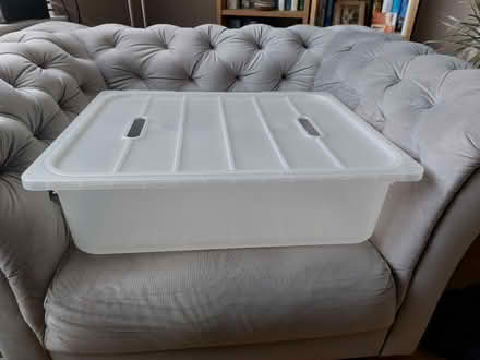 Photo of free Underbed storage box (Bonnyrigg EH19) #1