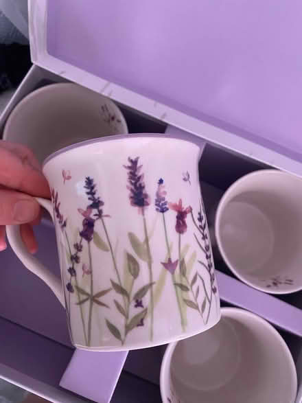 Photo of free New cups (Guildford GU1) #1