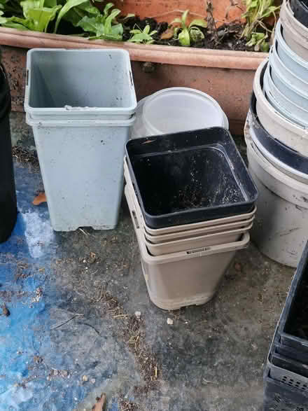 Photo of free Lots of empty plant pots (St Helens TN34) #4