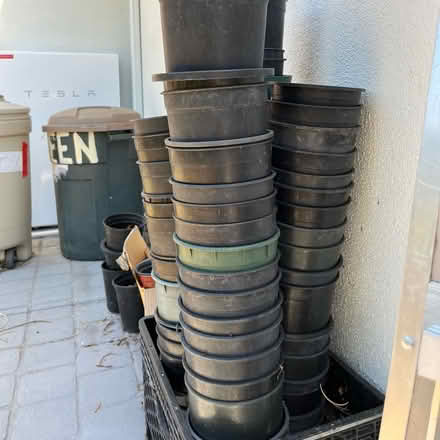 Photo of free 2 gallon plastic orchid pots (Oakland) #1