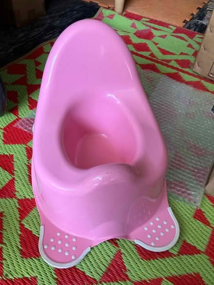 Photo of free Pink potty (Ambrosden OX25) #3