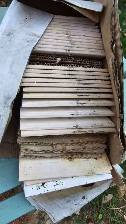 Photo of free Approximately 75 white 15cm tiles (New Bradwell MK13) #1