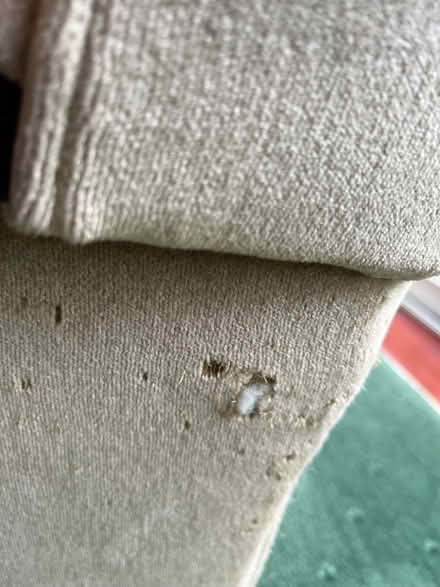 Photo of free Rocking chair (Upton CH49) #2