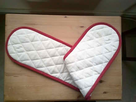 Photo of free Double oven mitt (Fords Farm RG31) #4