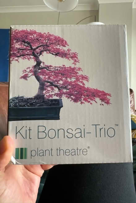 Photo of free Bonsai tree kit (E1W Limehouse/Shadwell) #1