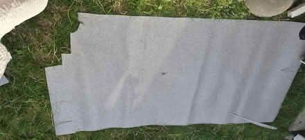 Photo of free Vinal floor (Camberwell SE5) #2