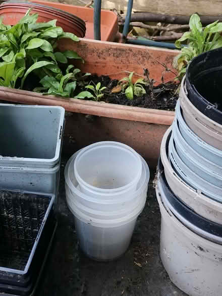 Photo of free Lots of empty plant pots (St Helens TN34) #2