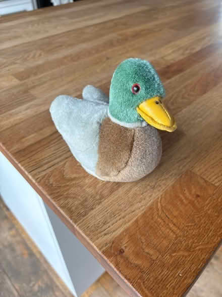 Photo of free Small Duck Teddy (Shire Oak, WS8) #1