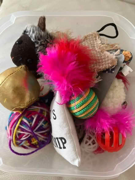 Photo of free Cat Toys (St. Marys Island ME4) #1