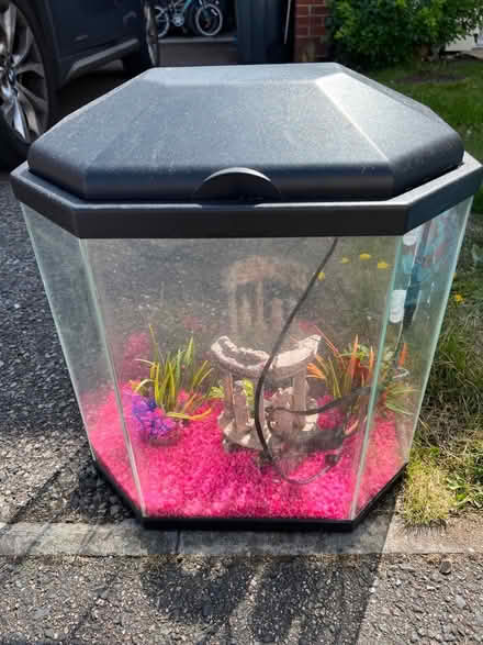 Photo of free Fish Tank (CT10) #1