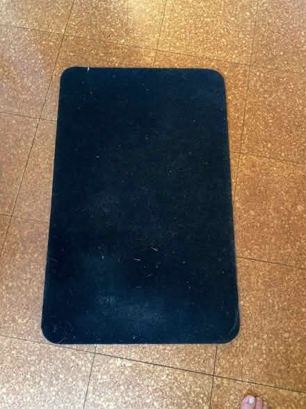 Photo of free Floor Runners and Doormat (CT11) #2