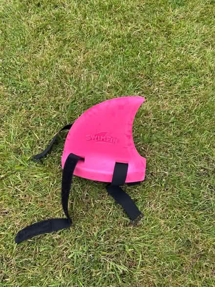 Photo of free Swimming shark finger learners (New Duston) #1