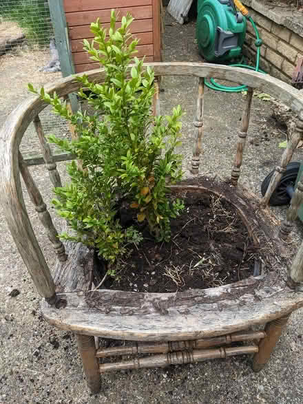 Photo of free Planter Chair for Repair (Market Harbourough) #1
