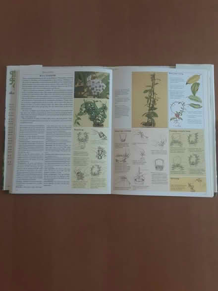 Photo of free House plant reference book (Hove BN3) #3