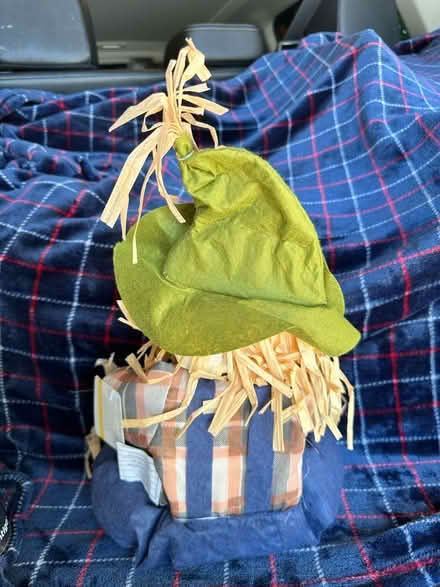 Photo of free Fall Decor (Henrietta) #3
