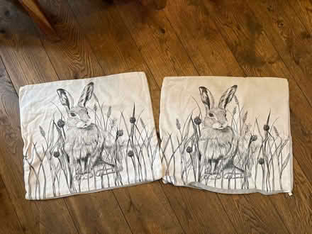 Photo of free Rabbit cushion covers (Shire Oak, WS8) #1