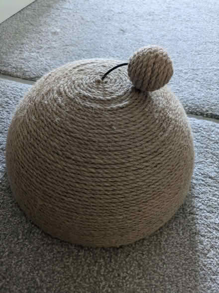 Photo of free Cat scratch dome (Hove BN3) #1