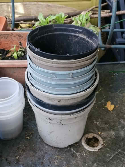 Photo of free Lots of empty plant pots (St Helens TN34) #1