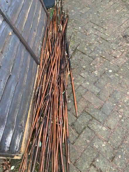 Photo of free Gardening Bamboos (Barnard's Green WR14) #1
