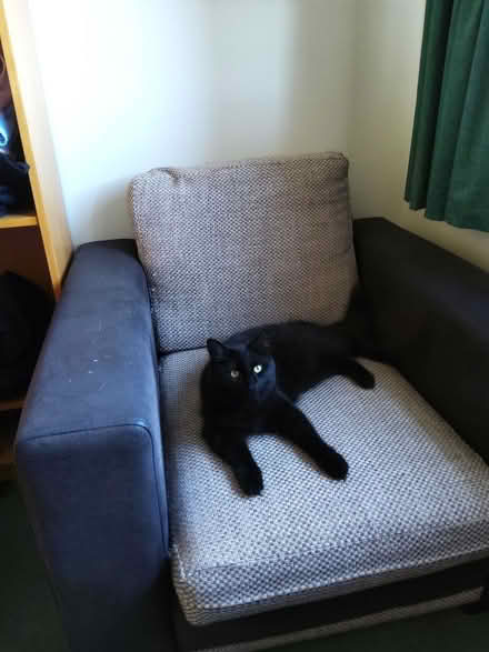 Photo of free chair (Lychpit RG24) #1