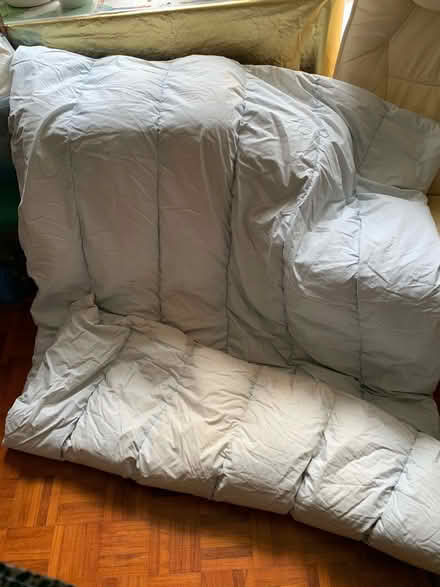 Photo of free Duvets (Nast Hyde Farm AL10) #2