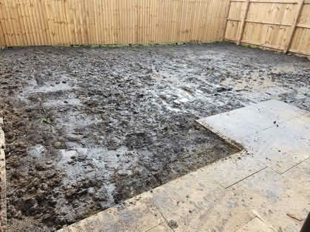 Photo of Plants (Lostock Hall PR1) #1