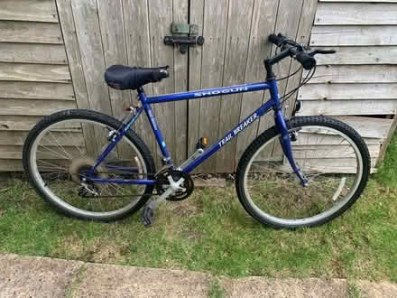 Photo of free Shogun Trail Blazer bike (Ware, SG12) #1