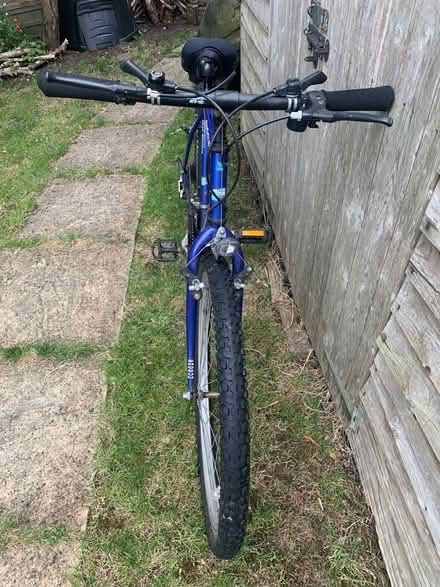 Photo of free Shogun Trail Blazer bike (Ware, SG12) #2