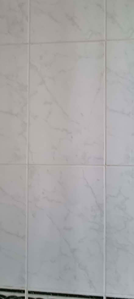 Photo of free Ceramic tiles (Pittville GL50) #3
