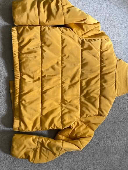 Photo of free Girls jacket (Blairhall KY12) #3