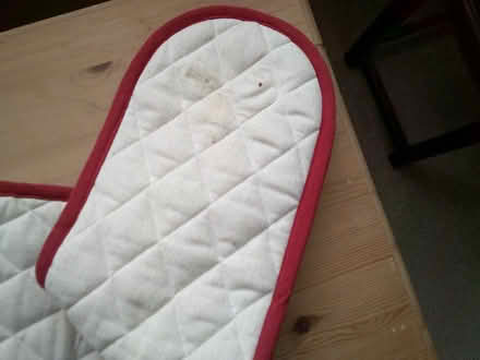 Photo of free Double oven mitt (Fords Farm RG31) #2